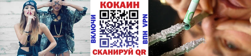 Купить закладки  Заводоуковск  COCAIN FishScale 