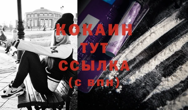 прущие грибы Карталы