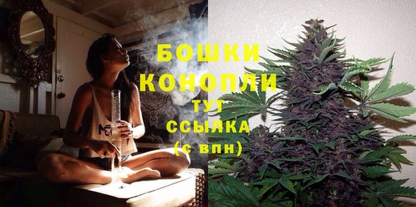 прущие грибы Карталы