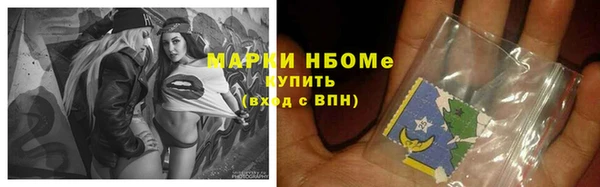 прущие грибы Карталы