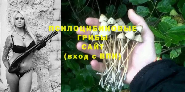 MDMA Карпинск