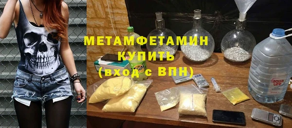 прущие грибы Карталы
