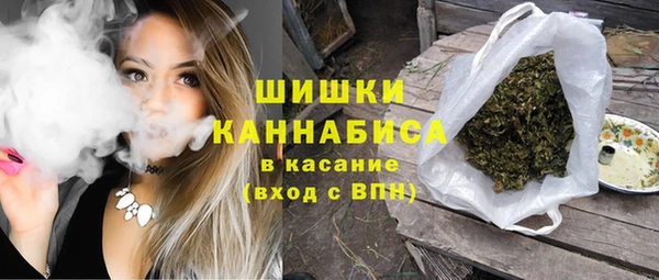 прущие грибы Карталы