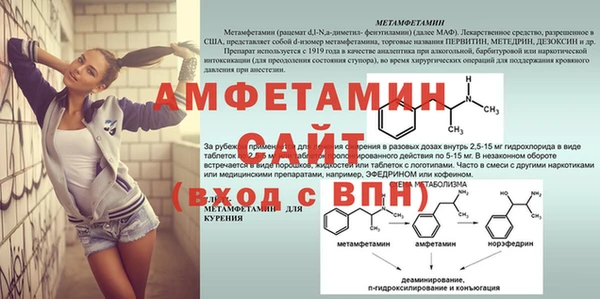 прущие грибы Карталы