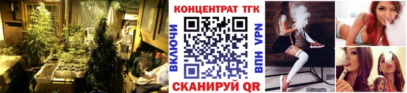 ТГК концентрат  Купить  Заводоуковск 