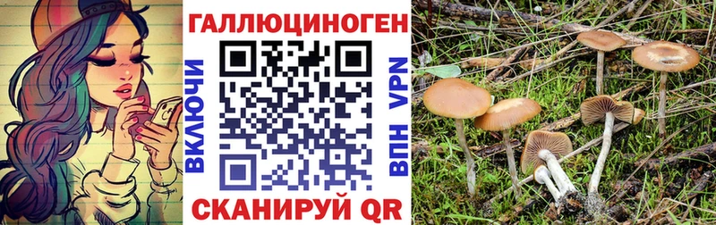 Галлюциногенные грибы ЛСД  Купить закладки  Заводоуковск 